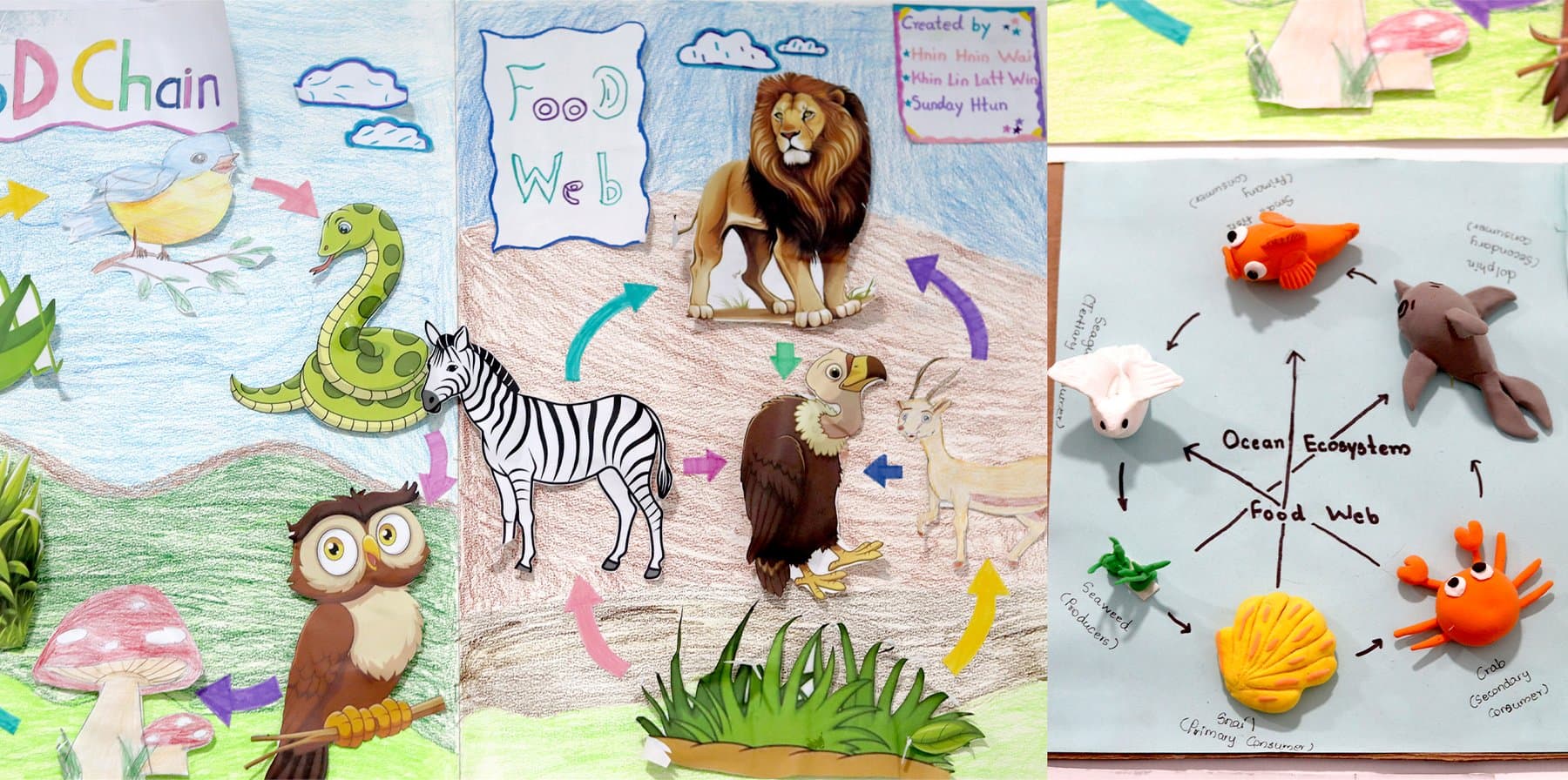 MEEC campus activity 7