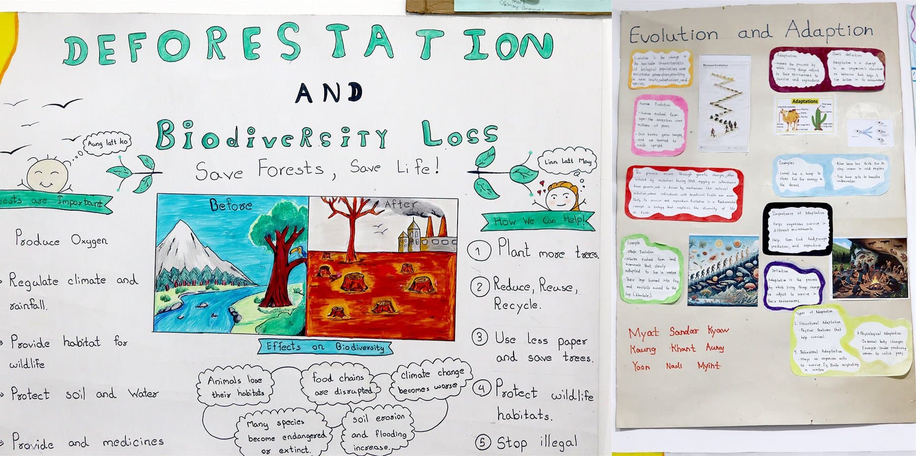 MEEC campus activity 12