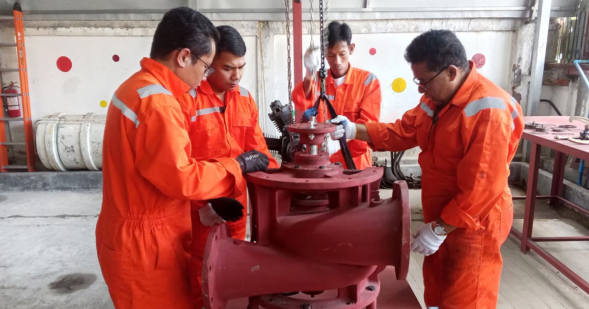 MVI training 2